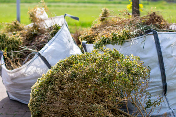 Full-Service Junk Removal in Blackstone, VA